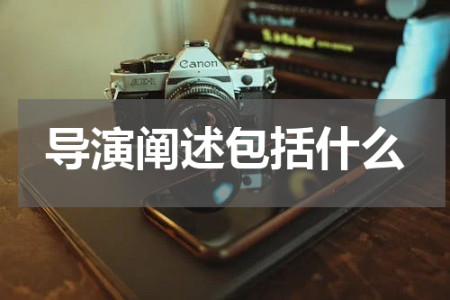 导演阐述包括什么