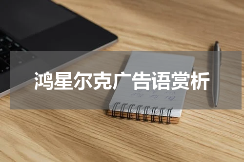 鸿星尔克广告语赏析