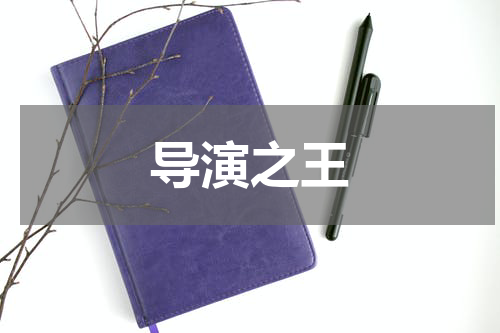 导演之王