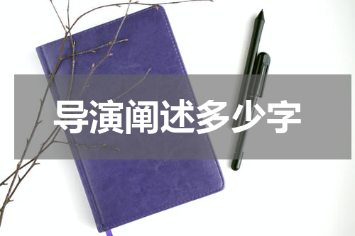 导演阐述多少字