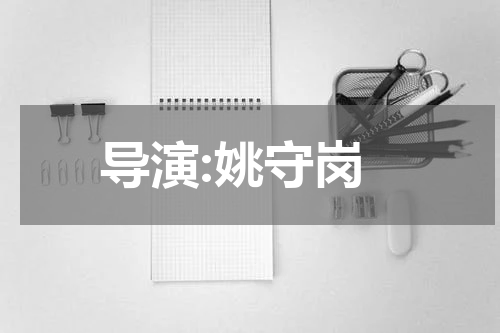 导演:姚守岗