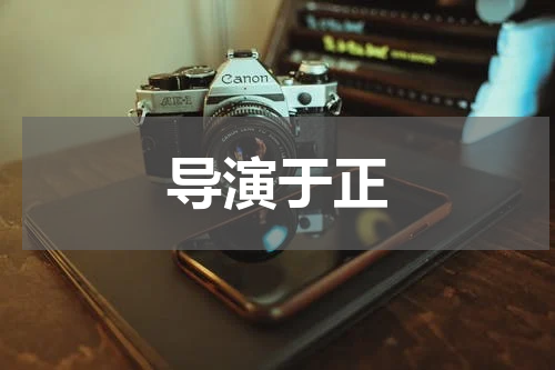 导演于正