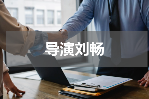 导演刘畅