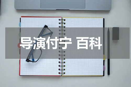 导演付宁 百科