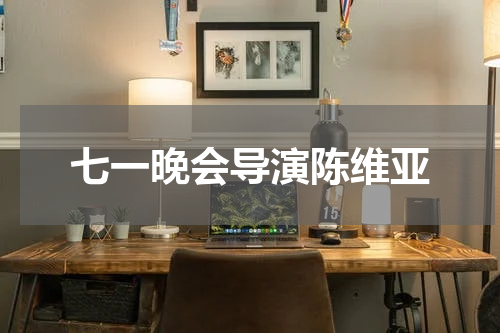七一晚会导演陈维亚