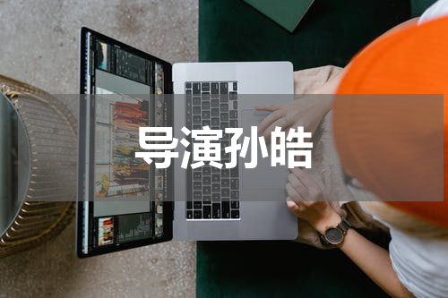 导演孙皓