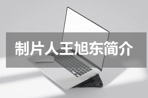 制片人王旭东简介