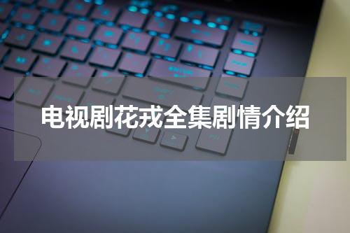 电视剧花戎全集剧情介绍