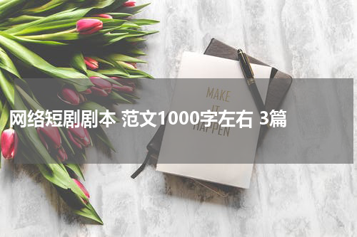 网络短剧剧本 范文1000字左右 3篇