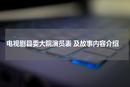 电视剧县委大院演员表 及故事内容介绍