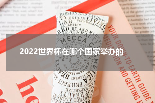 2022世界杯在哪个国家举办的