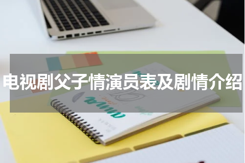 电视剧父子情演员表及剧情介绍