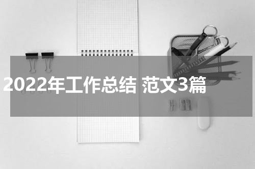 2022年工作总结 范文3篇