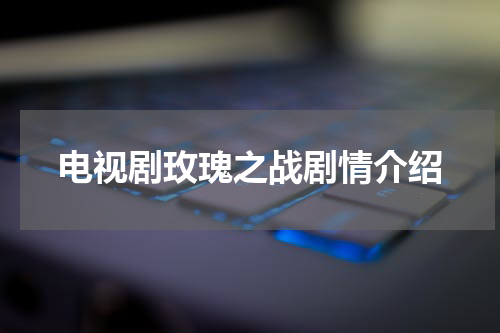 电视剧玫瑰之战剧情介绍