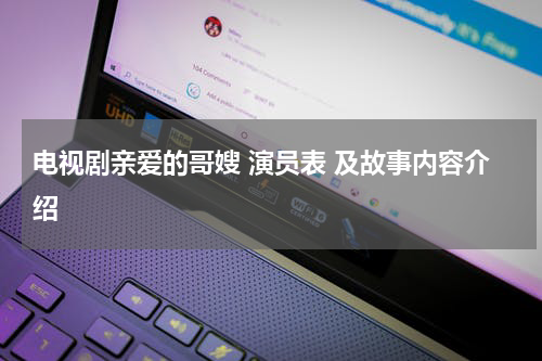 电视剧亲爱的哥嫂 演员表 及故事内容介绍