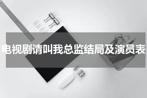 电视剧请叫我总监结局及演员表