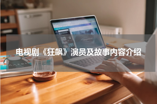 电视剧《狂飙》演员及故事内容介绍