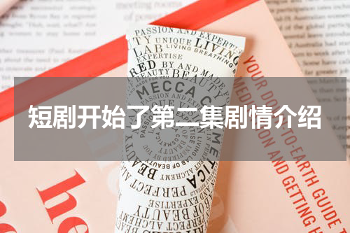 短剧开始了第二集剧情介绍