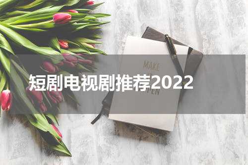 短剧电视剧推荐2022