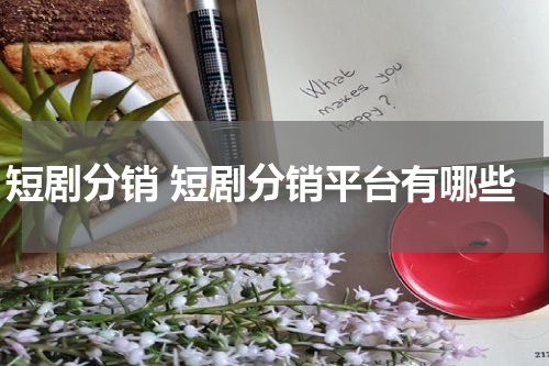 短剧分销 短剧分销平台有哪些
