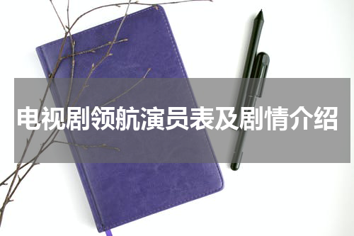 电视剧领航演员表及剧情介绍