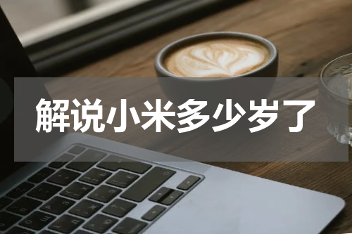 解说小米多少岁了