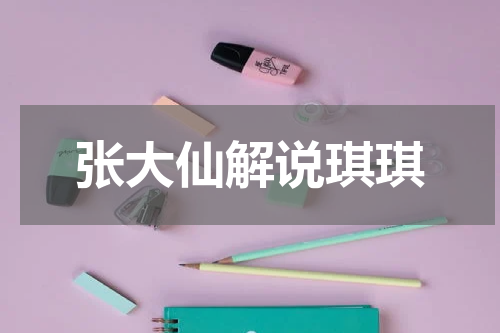 张大仙解说琪琪