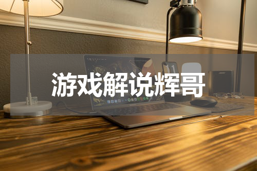 游戏解说辉哥