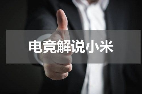 电竞解说小米