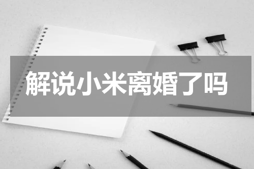 解说小米离婚了吗