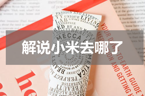 解说小米去哪了