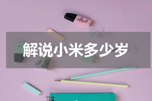 解说小米多少岁