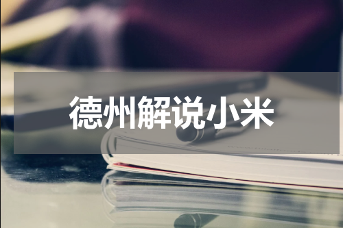 德州解说小米