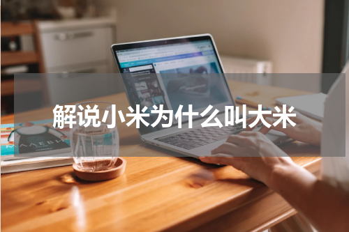 解说小米为什么叫大米