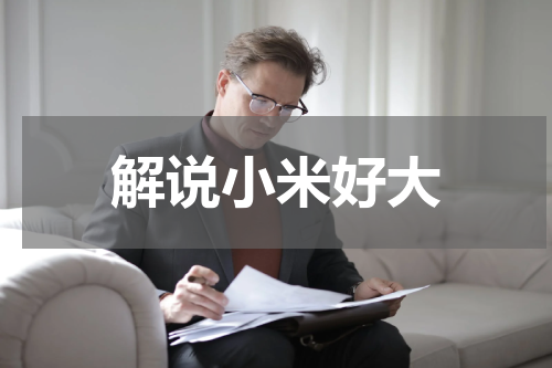 解说小米好大