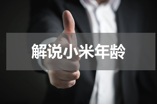 解说小米年龄