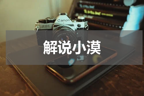 解说小漠
