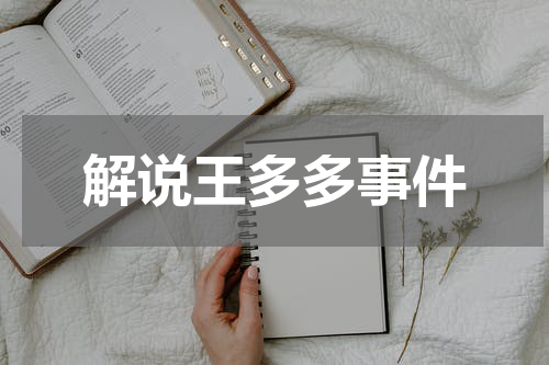 解说王多多事件