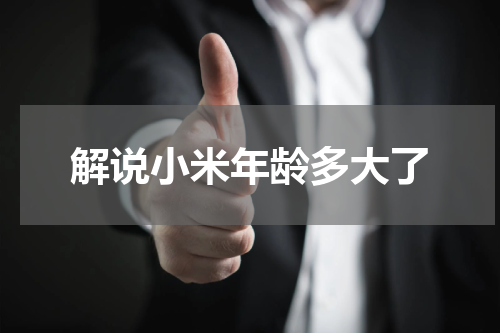 解说小米年龄多大了