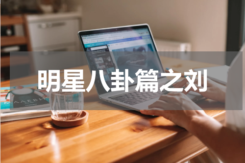明星八卦篇之刘