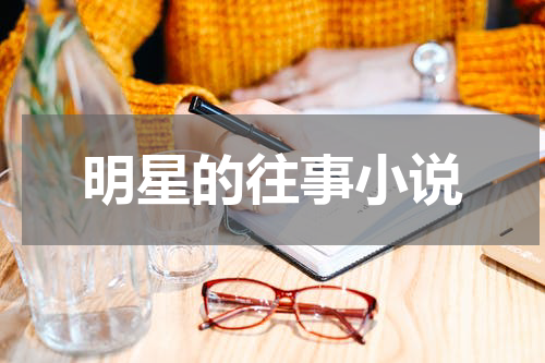 明星的往事小说