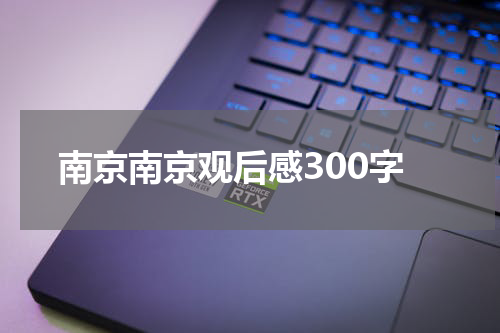 南京南京观后感300字