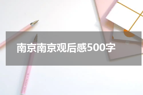 南京南京观后感500字