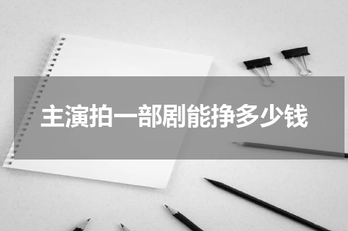 主演拍一部剧能挣多少钱