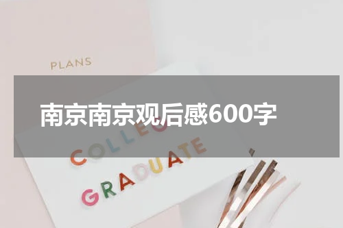 南京南京观后感600字
