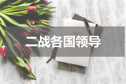 二战各国领导