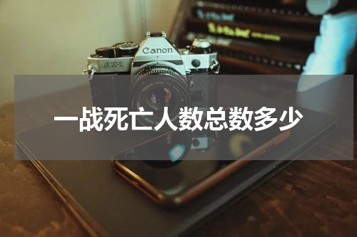 一战死亡人数总数多少