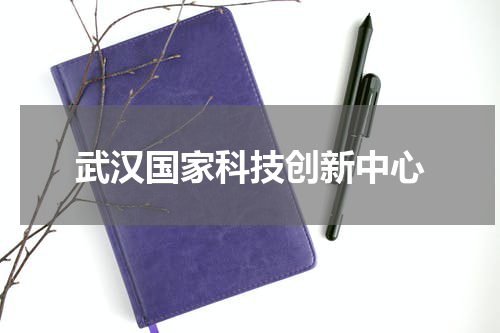 武汉国家科技创新中心
