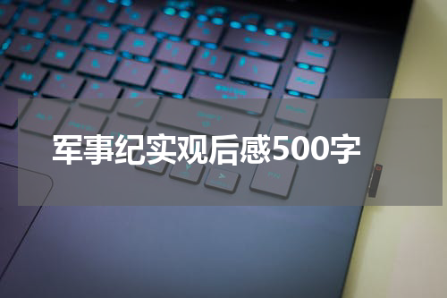 军事纪实观后感500字
