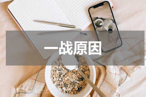 一战原因